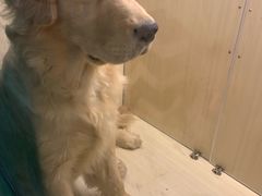 -藦茜花园宠物主题亲子互动体验馆(国顺东路店)
