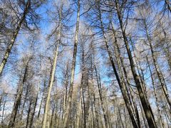 -硗碛藏寨·神木垒景区