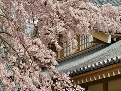 -醍醐寺