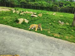 -西安秦岭野生动物园