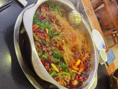 -金鼎雪山牦牛杂火锅(理县总店)