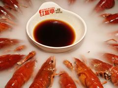 -红盔甲·小龙虾(天钥桥店)