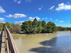 -上海海湾国家森林公园