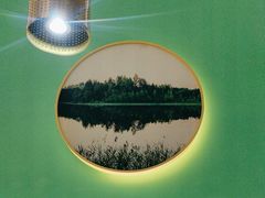 -探窝·竹笙椰子鸡(杨箕店)