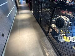 -威尔仕健身·游泳(KING88店)