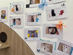 -Umiao与猫咖啡 猫咖