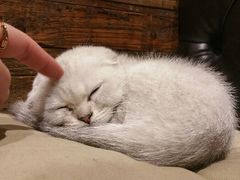 android_upload_pic-MIKAKU(万达广场上海宝山店)