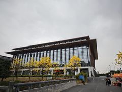-长洲岛