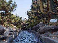 -太阳部落