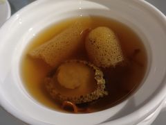 -裕龙汤泉