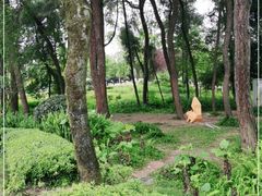 -铁山坪森林公园