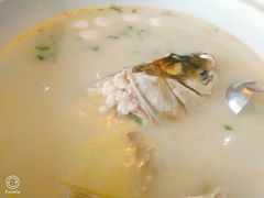 -洪泽湖湾