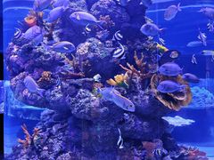 -成都浩海立方海洋公园