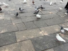 -翰园碑林