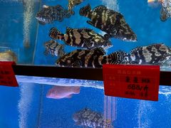 -囍凤楼·粤菜·点心·火锅(温特莱店)