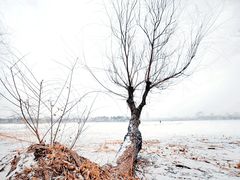 -长春市南湖公园