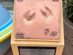 -九龙公园