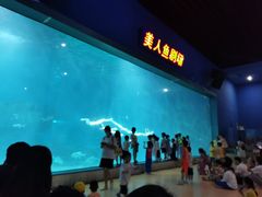 -福州罗源湾海洋世界旅游区