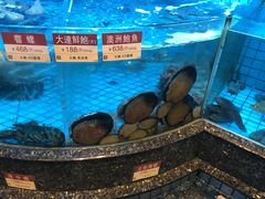 野生大鲍鱼-协成海鲜火锅(情侣路店)