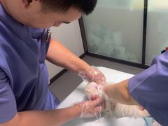 -半岛宠物医院24小时(科华中路店)
