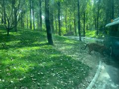 -北京野生动物园