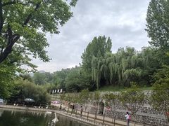 -盛世牡丹苑生态文化旅游区