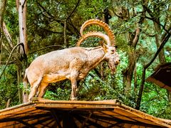 -昆明动物园