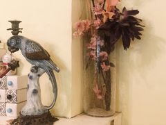 -猫色咖啡·猫咖