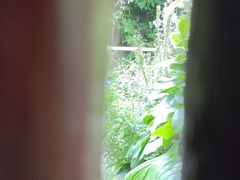 -斯多格书乡(北京大学畅春园店)