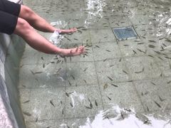 -碧水湾温泉