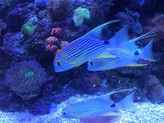 -成都浩海立方海洋公园