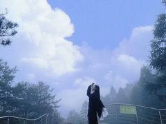 -玉苍山国家森林公园