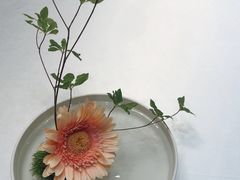 -茗鼎汇(星方汇广场店)