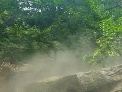 -狼牙山风景区
