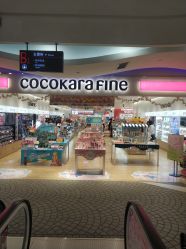 点击看大图 -cocokarafine可开嘉来