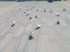 -天津妈祖文化园