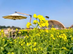 -中国天府农业博览园