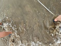 -青岛第一海水浴场