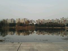 -新江湾城公园