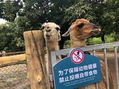 -西安秦岭野生动物园