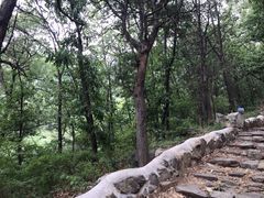 -阳台山自然风景区