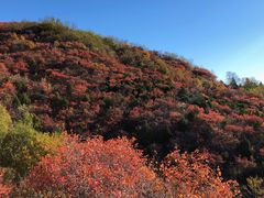 -北京西山国家森林公园