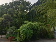 -江湾体育中心游泳馆