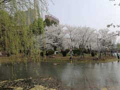 -堤角公园