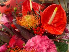 -静岸花卉园艺(三星坊店)