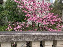 -张江润和国际总部园