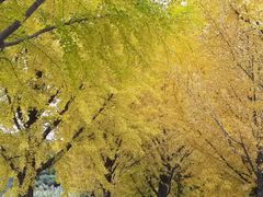 -北京植物园-展览温室