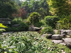 -龙头寺公园
