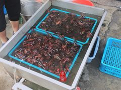 -指爱龙虾(金杨路总店)