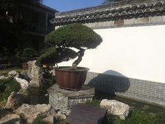 -水绘园